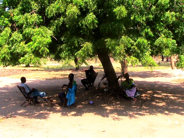Mittagsruhe unterm grossen Neem-Baum in Ngona, Malawi