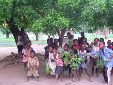 Afrika, Kurzweil für Kinder im Schatten des Neem-Baums